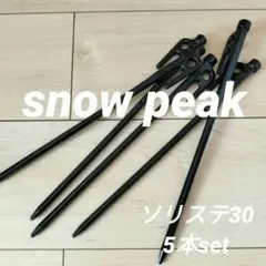 スノーピーク ソリッドステーク30 30本セット 新品未使用 2026年最新】ソリッドステーク30の人気アイテム - メルカリ