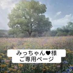 みっちゃん♥様　ご専用