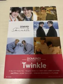 はるな様専用netjames DMDTwinkle記念くじ 日本版 2025年最新】domundi