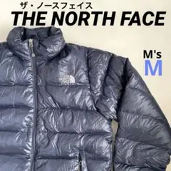 Item thumbnail for item 0301d6c3-a5cc-449a-9fa1-a584eed6ca08