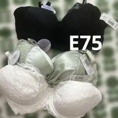 タグ付き新品未使用 aimerfeel ブラジャー 3点セット E75