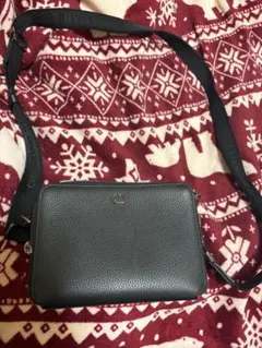 DIOR ディオール CD ジップポーチ カメラバッグ ショルダーバッグのサムネイル