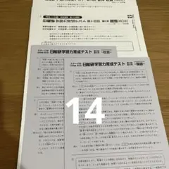 日能研　育成テスト　春期夏期テスト　前期　フルセット 日能研 育成テスト 春期夏期テスト 前期 フルセット 日能研6年前期