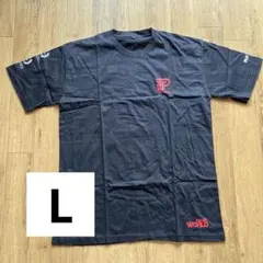 Item thumbnail for item 3aa10774-7b68-4463-8390-25ed84c55617