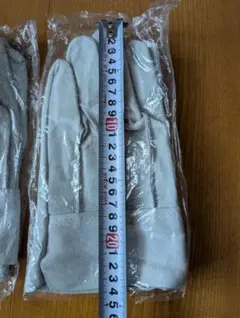 Item thumbnail for item ae7a0d93-19af-4458-983d-74af1b3ecaa1