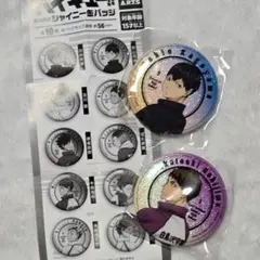 ハイキュー!!　影山飛雄　牛島若利　ホログラム　缶バッジ