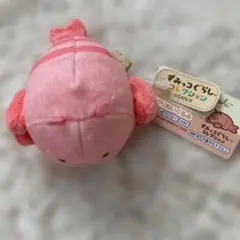 すみっコぐらし　てのりぬいぐるみ　廃盤　うみのなかま　えび　てのり　すみっこ
