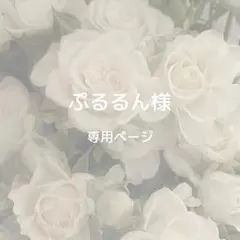 ぷるるん様専用ページ お急ぎ制作②