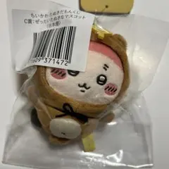 ちいかわ たぬきだもんくじ カニちゃん 古本屋さん
