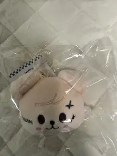 パピーム アイドル