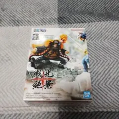 未開封品　ワンピース 戦光絶景 マーシャル・D・ティーチ　フィギュア