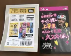 福岡ソフトバンクホークス シークレットステッカー モイネロのサムネイル