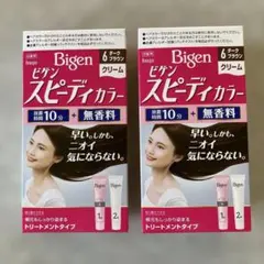 ビゲンスピーディカラー クリーム6-ダークブラウン2箱セットのサムネイル