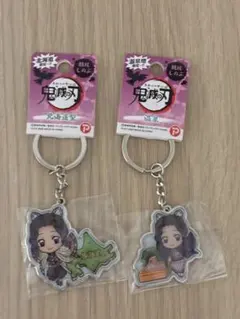 【未開封】鬼滅の刃 胡蝶しのぶ 北海道限定 温泉地限定 メタルキーホルダーセット
