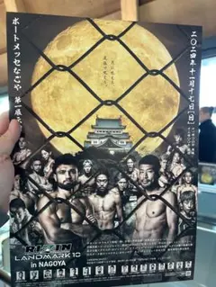 Item thumbnail for item 1663360d-1c5f-4c11-aa7b-16923d3aba21