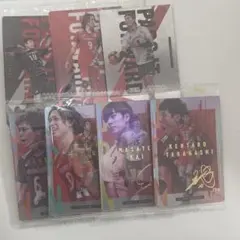 バレーボール 男子日本代表 ツインウエハース カード