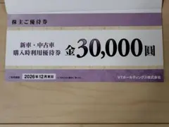 VTホールディングス 株主優待券冊子1冊セット