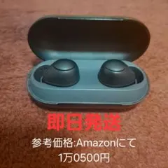 SONY wf c700n ケース＋本体 ノイズキャンセリングイヤホン