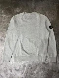 2026年最新】STONE ISLAND カラー：グレイ系 メンズ トレーナー
