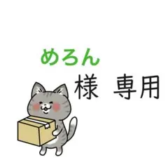 【めろん様専用】おまとめページ