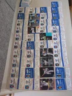 Item thumbnail for item 8f85690f-8ff0-461c-992a-e4d58328087a