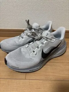 NIKE Pegasus 41 27cm