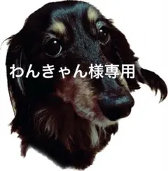 わんきゃん様専用トリミングチョーカーオーダーページ