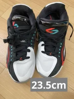 Jordan Luka 2 バスケットボールシューズ 23.5cmのサムネイル