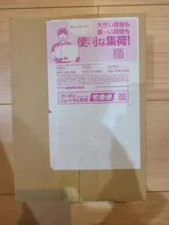 バトルパートナーズ BOX シュリンク付き ナンジャモ プロモ付き　ポケセン産