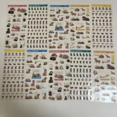 平成レトロ　y2k シール　まとめ売り　実写 犬　ステッカー 10枚