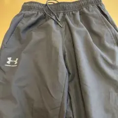 Item thumbnail for item 3181f2e0-f2f3-437a-8d73-7bbb124b378d