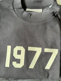 ESSENTIALS 1977 Tシャツ グレー