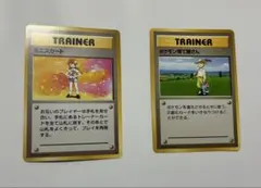 旧裏　ミニスカート　ポケモン育て屋さんのサムネイル