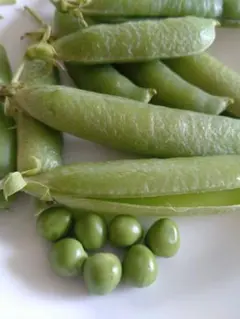 農薬不使用 スナップエンドウ えんどう豆 - メルカリ