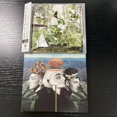 clean bandit what is love? 2枚
