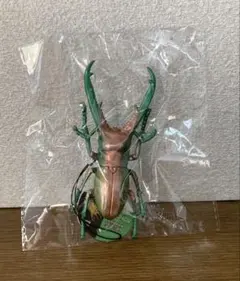 生物図鑑 リアル クワガタ エラフスホソアカクワガタ キーホルダー