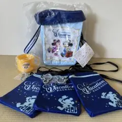 東京ディズニーリゾート バケーションパッケージ バッグセット