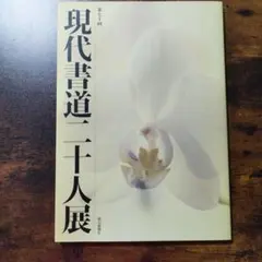 【非売品】石田泉城 書作品集（函付き）書道作品集 2026年最新】書道作品集の人気アイテム - メルカリ