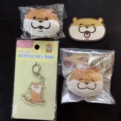 可愛い嘘のカワウソ 4点 まとめ売り②