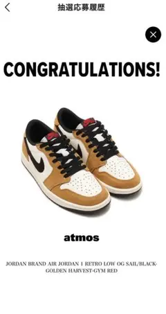 AirJordan1RetroLowOG27.0cm ルーキーオブザイヤー