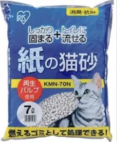 Item thumbnail for item 7d8637f1-7885-4d7b-9597-7f8796ac39e5