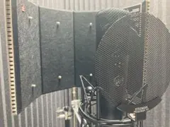 sE Electronics REFLEXIONFILTER PRO black