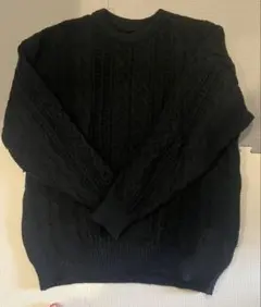 【極美品】立体ケーブル編み アランニット セーター ブラック M 艶黒 完売品