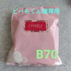 2026年最新】シャルレ ミライブラジャーの人気アイテム - メルカリ