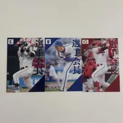 プロ野球チップス　2024 選手会長カード　3枚セット
