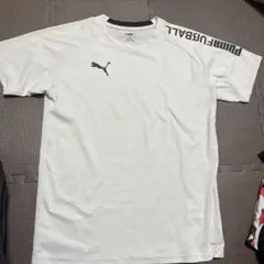 Item thumbnail for item 2ee574dd-32aa-4d31-a1a6-0951942ea076