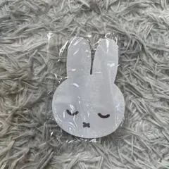 Item thumbnail for item b1b276ad-c7ce-4489-a62b-968531a46aa7