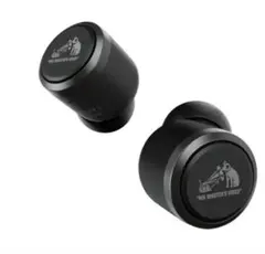 JVC HA-FXZ100 イヤホン 新品 未使用品 - メルカリ
