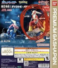 【バシャーモ】 ポケットモンスター 組立可動！ゲッコウガ・バシャーモ