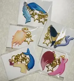 イーブイ進化　アクリルキーホルダー9個セット